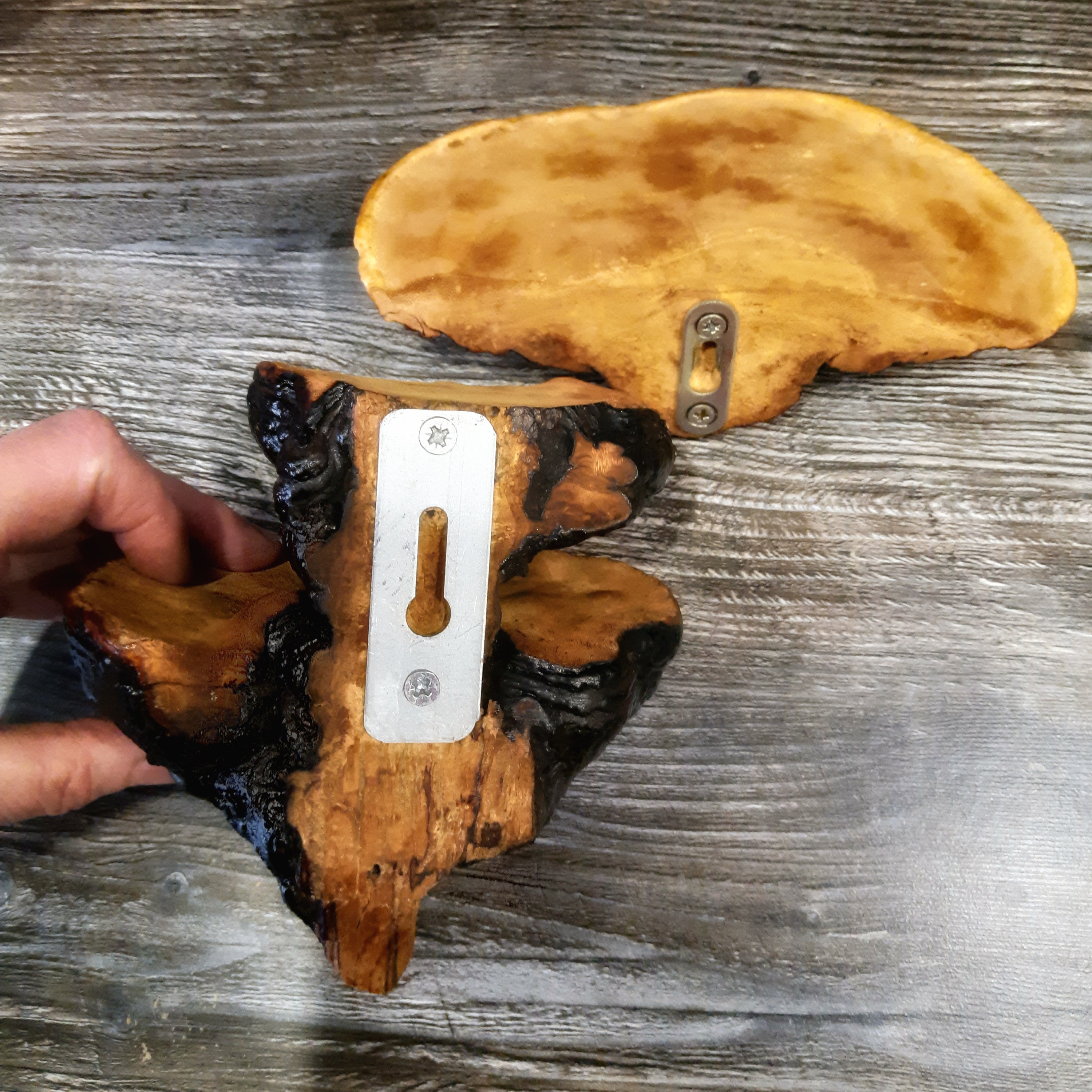 Mushroom Shelf Decor Shelf Fungus Shelves Forest Decor Etsy