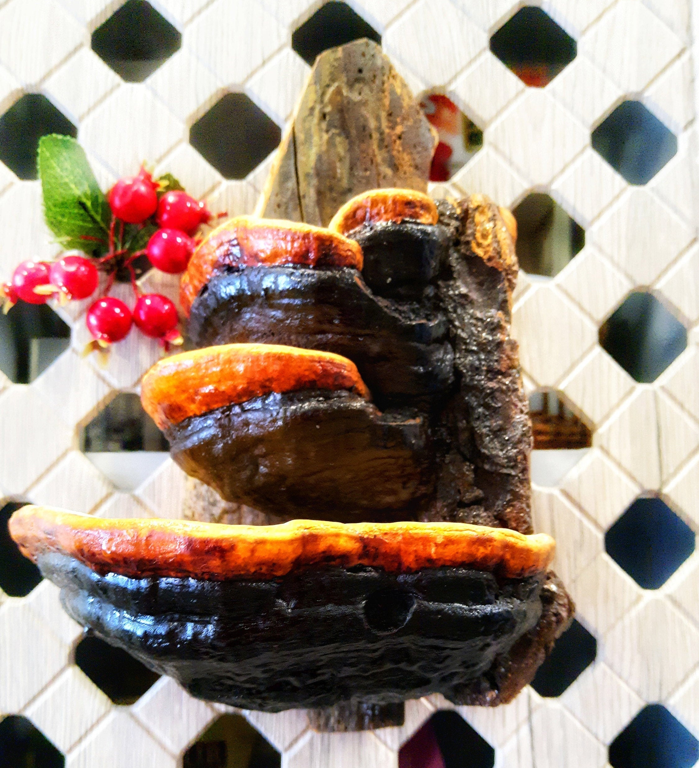 Decorative mushroom shelves shelf decor Mushroom Shelf Forest Etsy