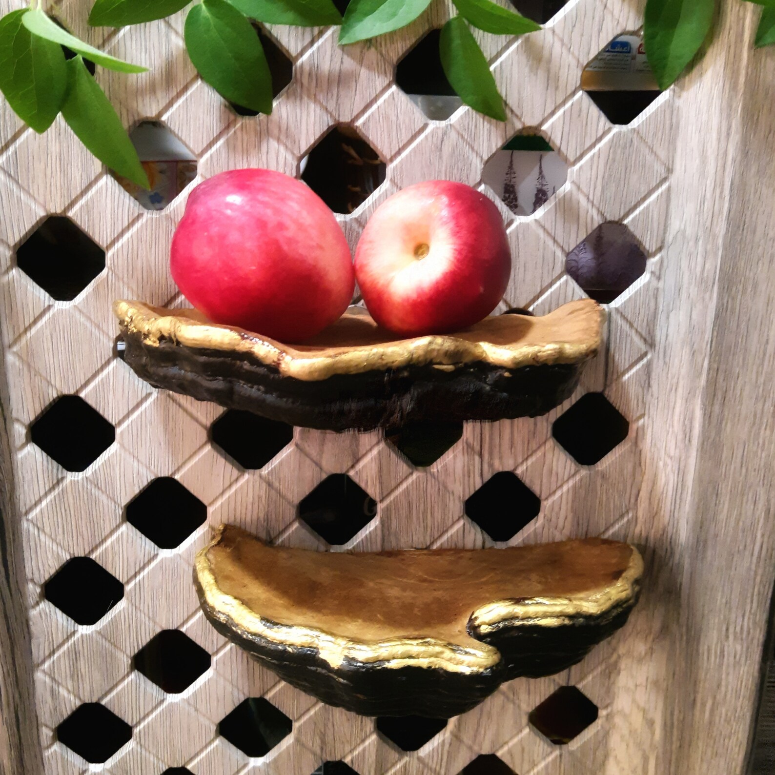 Decorative mushroom shelves shelf decor Mushroom Shelf Forest Etsy