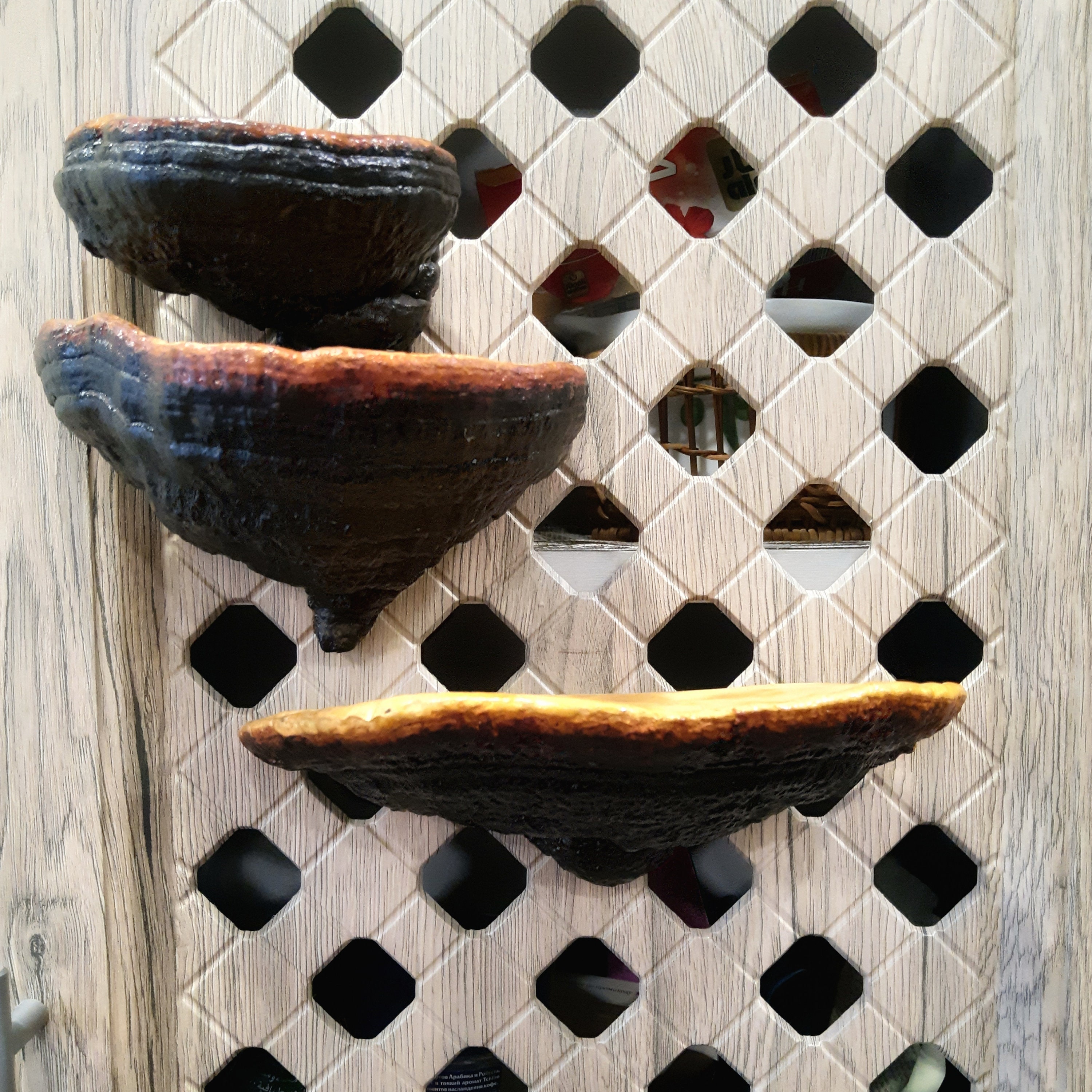 Mushroom Shelf Decor Shelf Fungus Shelves Forest Decor Etsy