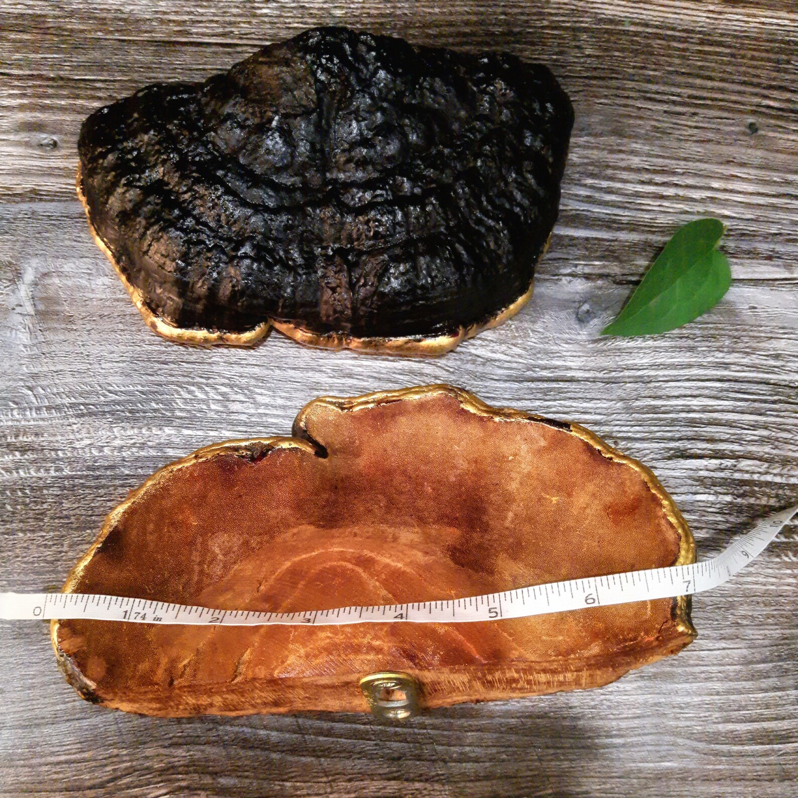 Decorative mushroom shelves shelf decor Mushroom Shelf Forest Etsy