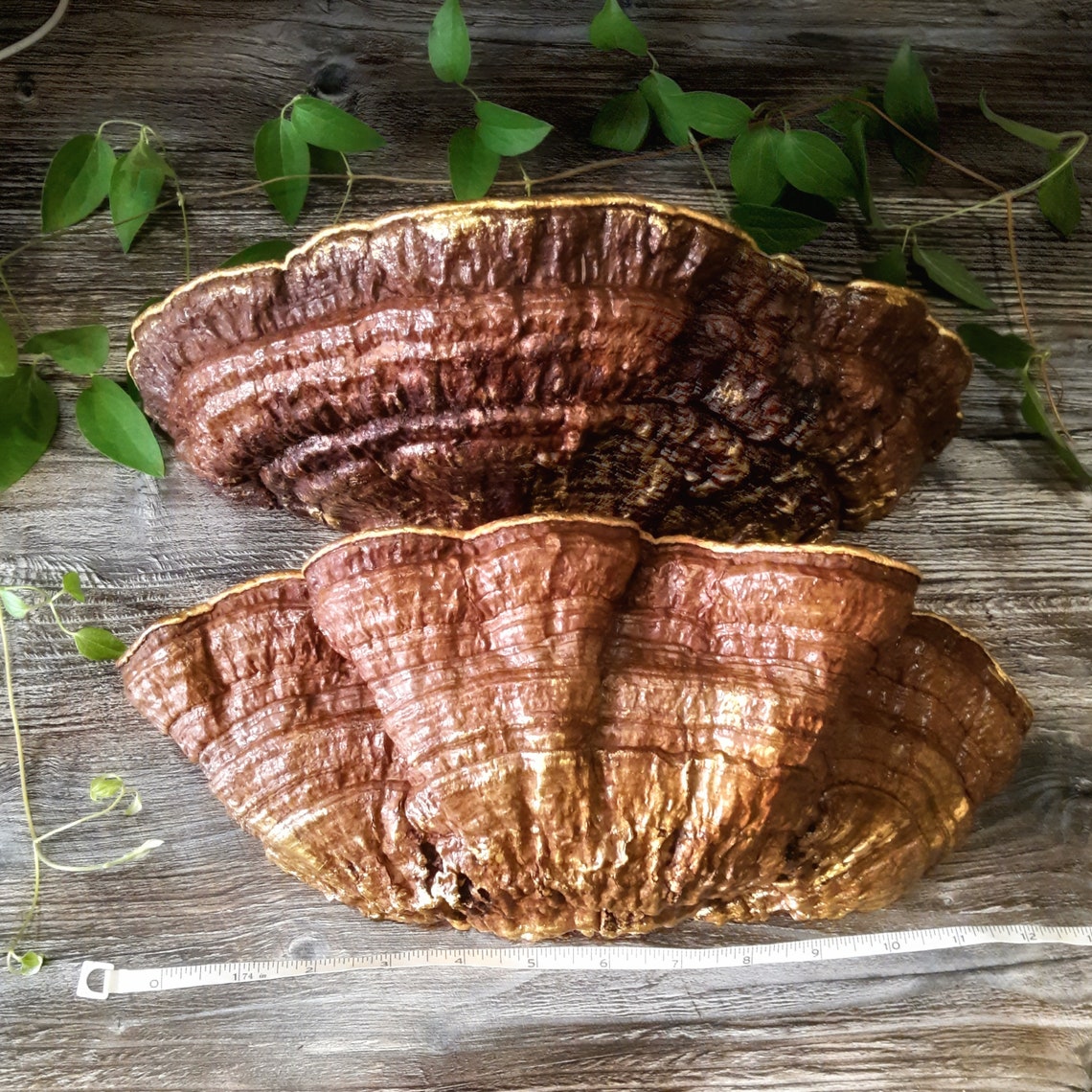 Large mushroom shelf forest decor shelf primitive mushroom Etsy