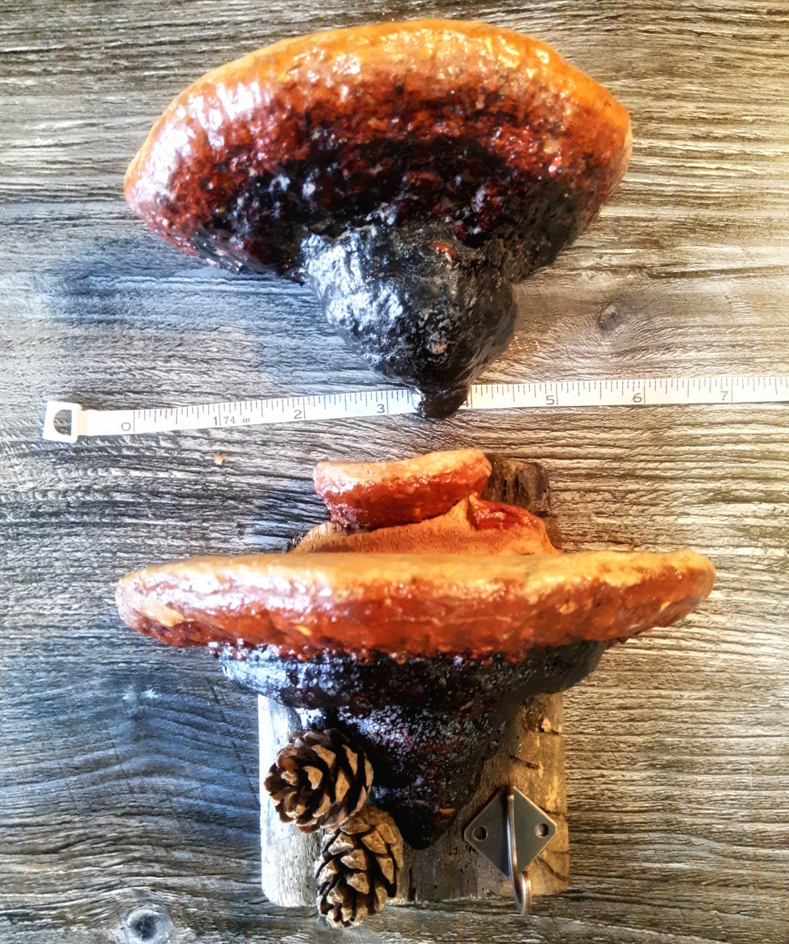 Wall mounted mushroom shelves vegetable decorative mushroom Etsy