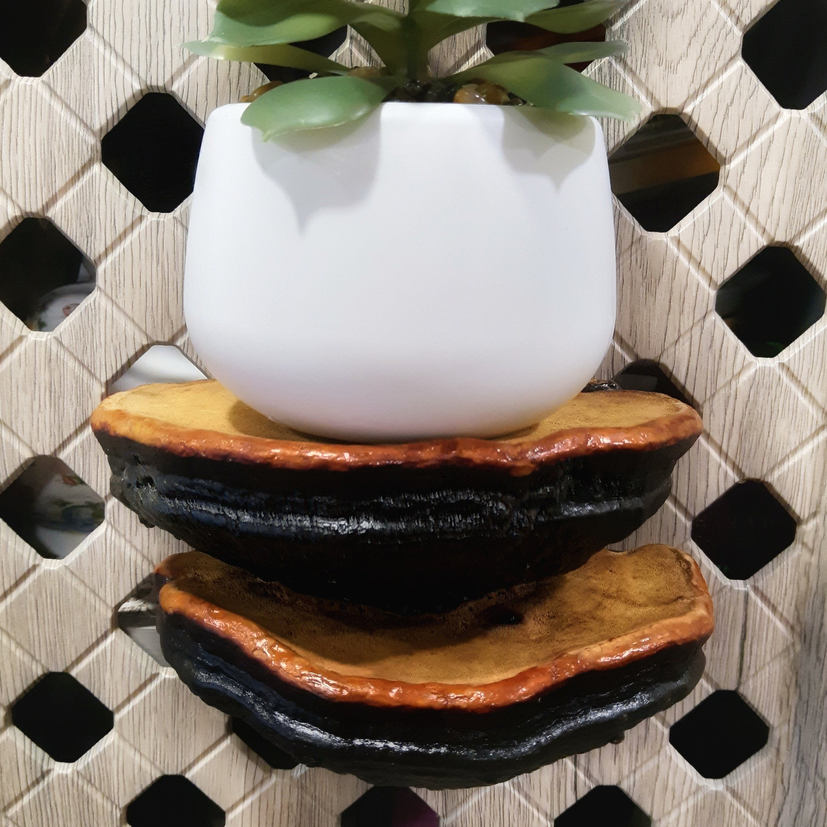 Floating shelves Mushroom shelves forest decor shelf Etsy