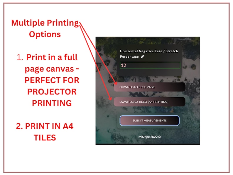 May include: A screenshot showing multiple printing options. The options include printing on a full-page canvas and printing in A4 tiles. The image also displays a percentage input field and buttons to download the full page or tiled version.