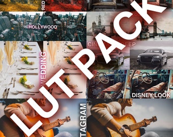 May include: A collage of images showcasing different LUT packs for video editing. The LUT packs include themes like "Red Theme", "Hollywood", "Wedding", "Instagram", "Orange & Teal", "Disney Look", and "Cinematic Deep".