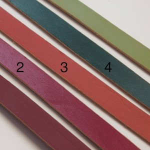 May include: Five leather straps in different colors: burgundy, dark red, teal, olive green, and light green. The straps are numbered 1 through 5.