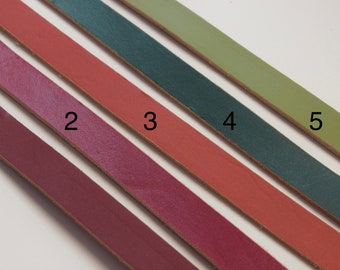 Lus en schroef 1/2" breed leren handvat - paar