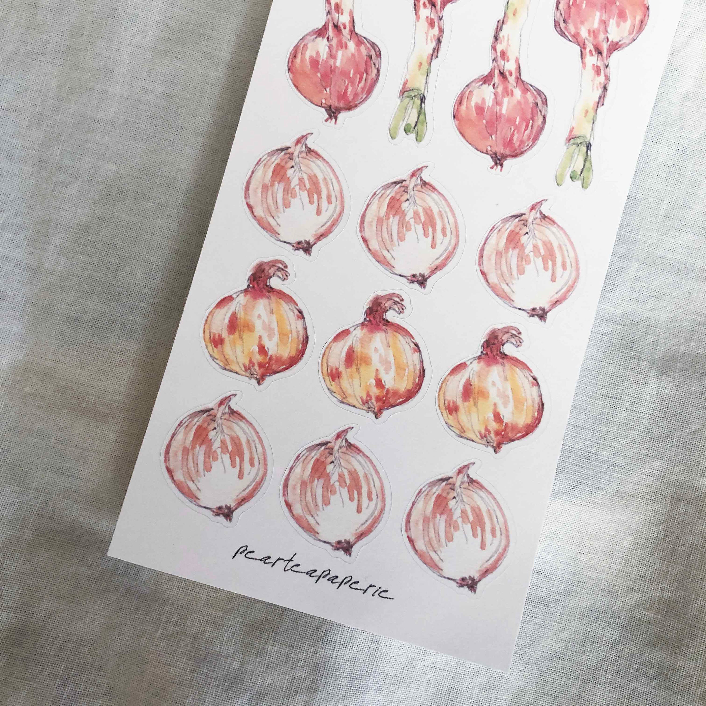 Watercolor Onion Stickers / Vegetable Stickers Hand drawn Etsy