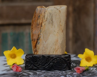 Antique Dedap or Coral Tree Fossil with Hand Carved Dark Sono Wood Base, The Best Gift for loved one