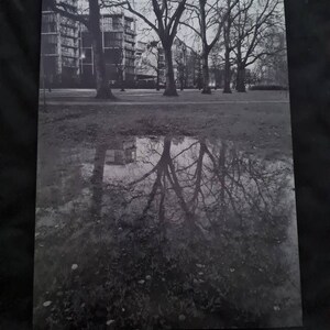 Charles Skilton LONDON LIFE: Orator/'s Corner Vintage Postcard c1950s Hyde Park