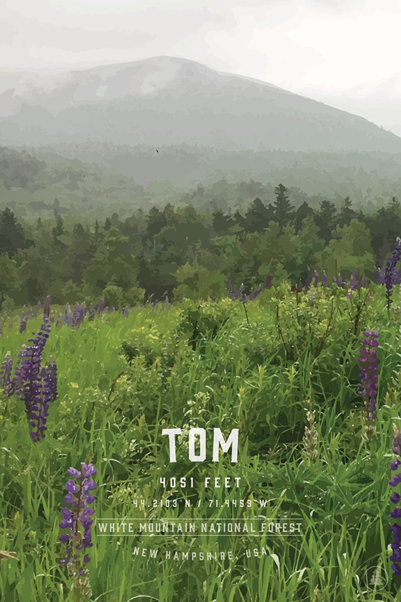 Mt Tom New Hampshire 4000 Footers NH 48 White Mountains Etsy