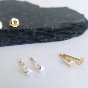 kleine ster oorbellen • goud • zilver • ster oorbellen • ster neuspiercing • ster helix piercing • neuspiercing • helix piercing