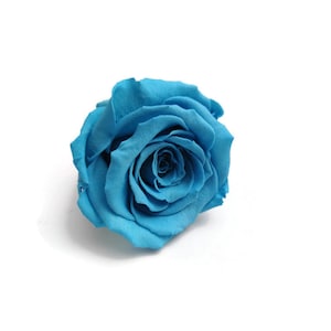 High quality infinity preserved roses, Timeless Rose, Gifts for her, Romantic Rose, Infinity Rose, Roses that last a year, BLUE Rose