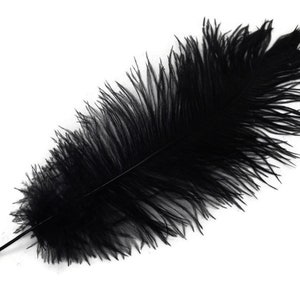 Pack of 25 Black Ostrich Feathers for Party Decor, Dramatic Black Feathers for Gothic Inspired Look, 1920s Art Deco Party Table Decor