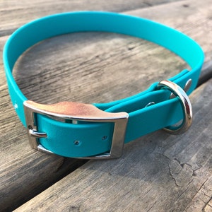 Imp - Custom 3/4” biothane buckle collar, dog collar, custom collar, 3/4” collar, tongue buckle collar