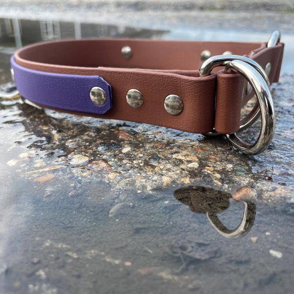 Conductor  - Custom 1" biothane limited slip dog collar