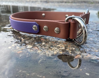 Puede incluir: Un collar de perro de cuero marrón con un acento morado y herrajes plateados. El collar tiene un doble anillo en D para sujetar una correa.
