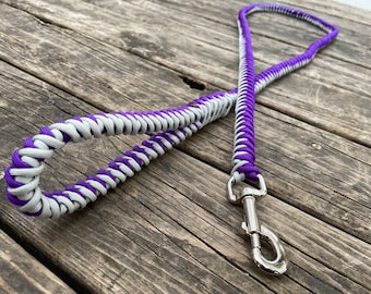 Custom paracord walking leash, dog leash,