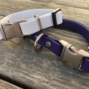 Puede incluir: Dos collares para perros, uno blanco y otro morado, con hebillas plateadas y anillas en D.