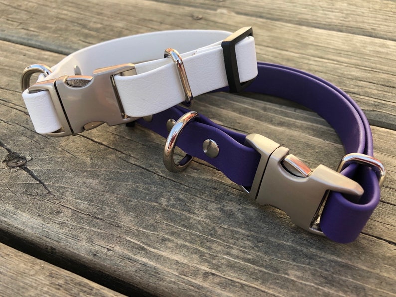 Puede incluir: Dos collares para perros, uno blanco y otro morado, con hebillas plateadas y anillas en D.