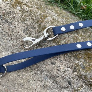 Jester - Custom 5/8” biothane dog leash,