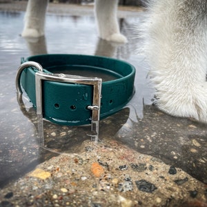 Gladiator - 1.5” biothane buckle collar