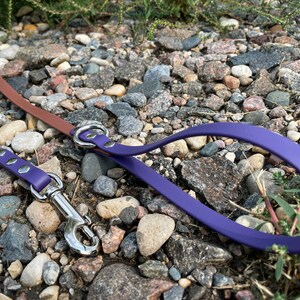 Engineer - custom 1/2” biothane two tone biothane leash,  thin dog leash, show leash,