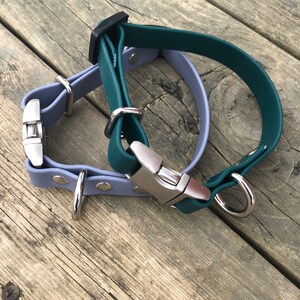 Puede incluir: Dos collares para perros, uno verde azulado y otro azul claro, con herrajes plateados y un anillo en D plateado.