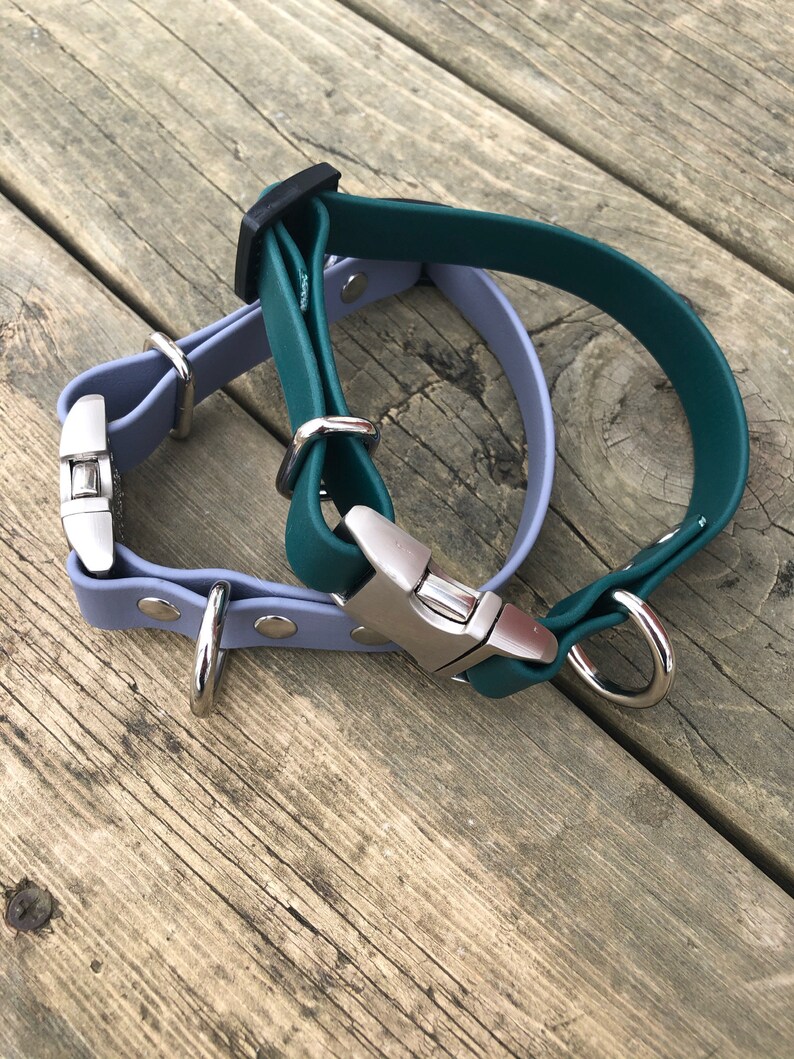 Puede incluir: Dos collares para perros, uno verde azulado y otro azul claro, con herrajes plateados y un anillo en D plateado.