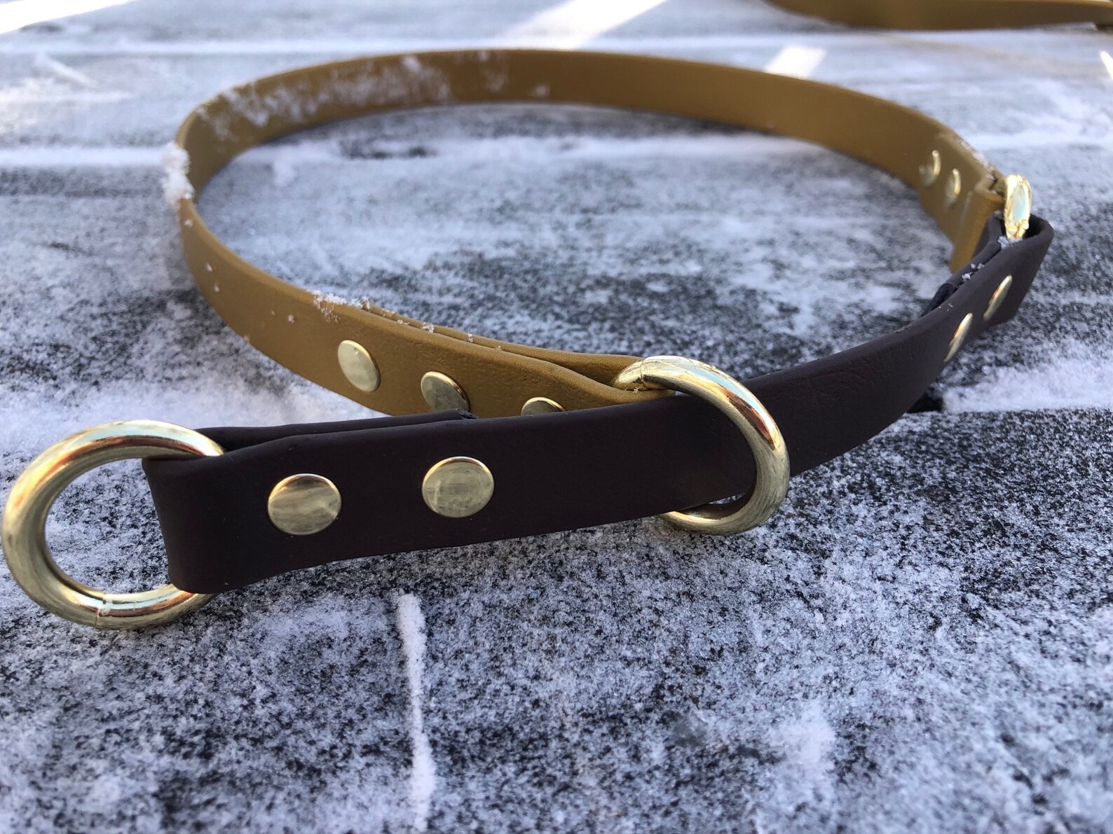Custom 3/4 biothane limited slip dog collar Etsy