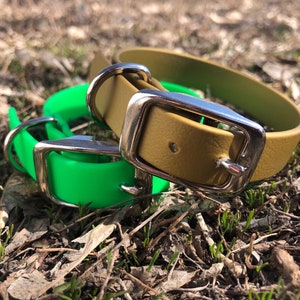 scratch proof cat collar