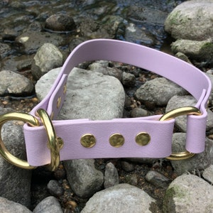 Liminater - Custom 1&quot; biothane limited slip dog collar