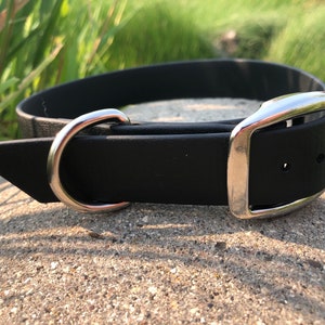 Minotaur - Custom 1” biothane buckle collar, tongue buckle collar, dog collar,