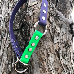 Original Liminater - Custom 3/4" biothane limited slip dog collar