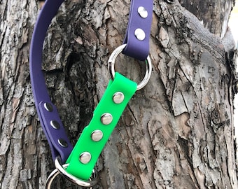Custom 3/4" biothane limited slip dog collar