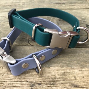 Puede incluir: Dos collares para perros, uno azul verdoso y otro azul claro, con hebillas y anillas en D plateadas.