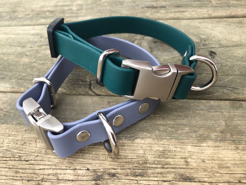 Puede incluir: Dos collares para perros, uno azul verdoso y otro azul claro, con hebillas y anillas en D plateadas.