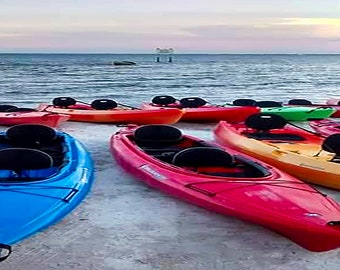 May include: A group of kayaks lined up on a sandy beach. The kayaks are in various colours, including red, orange, yellow, blue, and green. The kayaks are all single-person kayaks with seats and paddles.