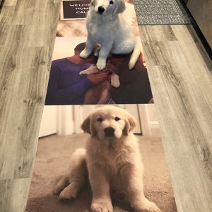 May include: Two images of golden retriever puppies. The top image shows a white puppy sitting on a rug with a sign that says "Welcome Home Callie". The bottom image shows a golden puppy sitting on a brown rug.