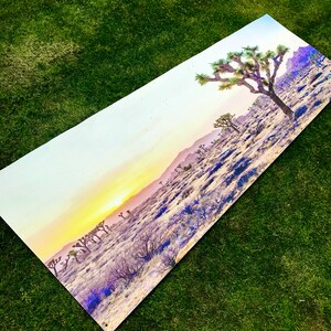 May include: A panoramic photograph of a desert landscape with a Joshua tree in the foreground. The sky is a vibrant orange and pink, with a few clouds. The Joshua tree is silhouetted against the sunset, and the desert floor is covered in a variety of plants and shrubs.