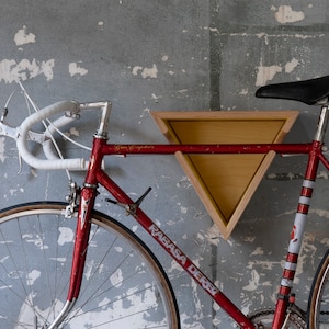 Bike Wall Mount DELTA