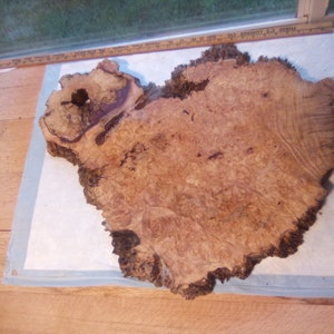May include: A large, irregularly shaped piece of wood with a burl pattern. The wood is a light brown color with darker brown streaks and knots. The wood is about 18 inches in diameter.