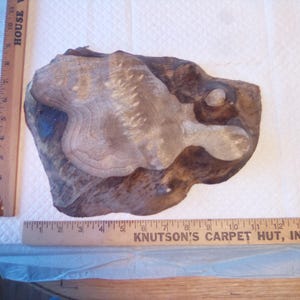 1   Myrtlewood Burl Crafters Delight,12"x8" x1" Sanded on both sides!WOW