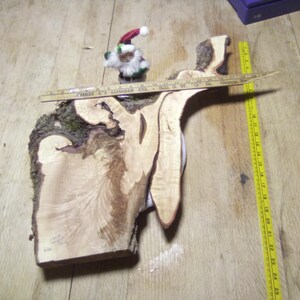 May include: A large piece of wood with a unique grain pattern. The wood is light brown in color and has a natural, rustic look. It is approximately 18 inches long and 12 inches wide.