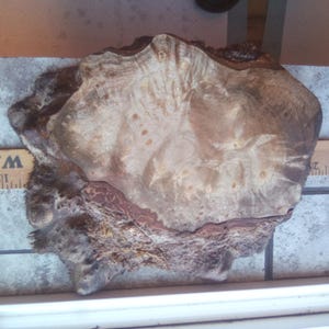 1   Myrtlewood Burl Crafters Delight,9"x7"x1" Sanded on both sides!WOW only39. 99 free shipping!!