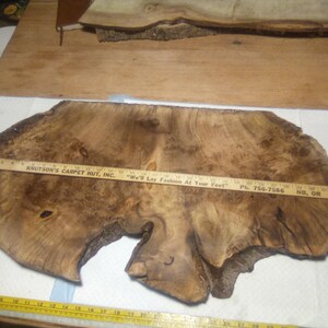 May include: A large, irregularly shaped piece of wood with a natural edge, featuring a rich, brown color and unique grain patterns. A wooden ruler is placed across the wood, with text that reads "KNUTSON'S CARPET HUT, INC." and "We'll Lay Fashion At Your Feet".