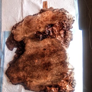May include: A large, irregularly shaped piece of wood with a brown and reddish-brown burl pattern. The wood is approximately 24 inches wide and 18 inches long.