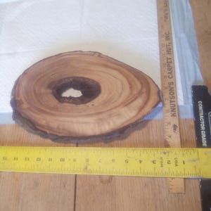 May include: A natural wood slice with a dark brown bark edge and a central hole. The wood has visible growth rings and is approximately 14 inches long, as measured by a yellow ruler.