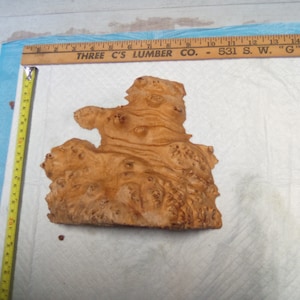 May include: A piece of wood burl with a natural, light brown color and a unique, intricate pattern. The burl is approximately 7 inches wide and 6 inches tall.